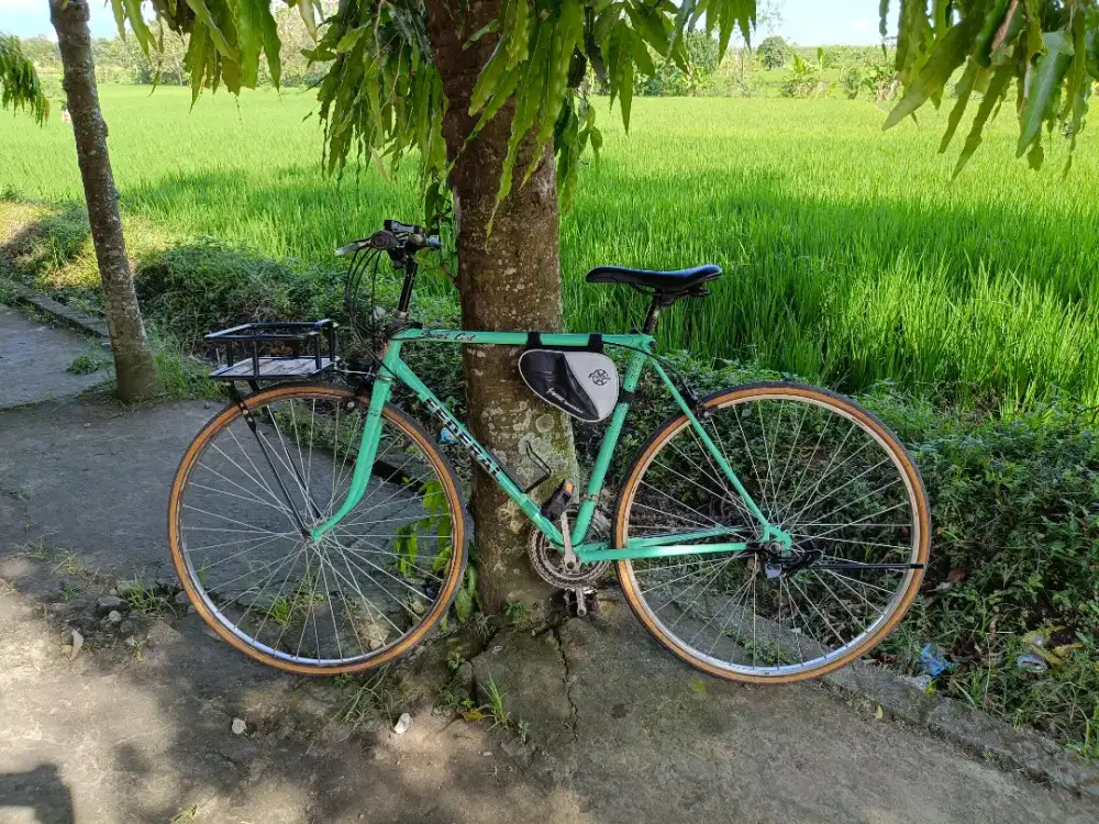 Sepeda kalcer federal
