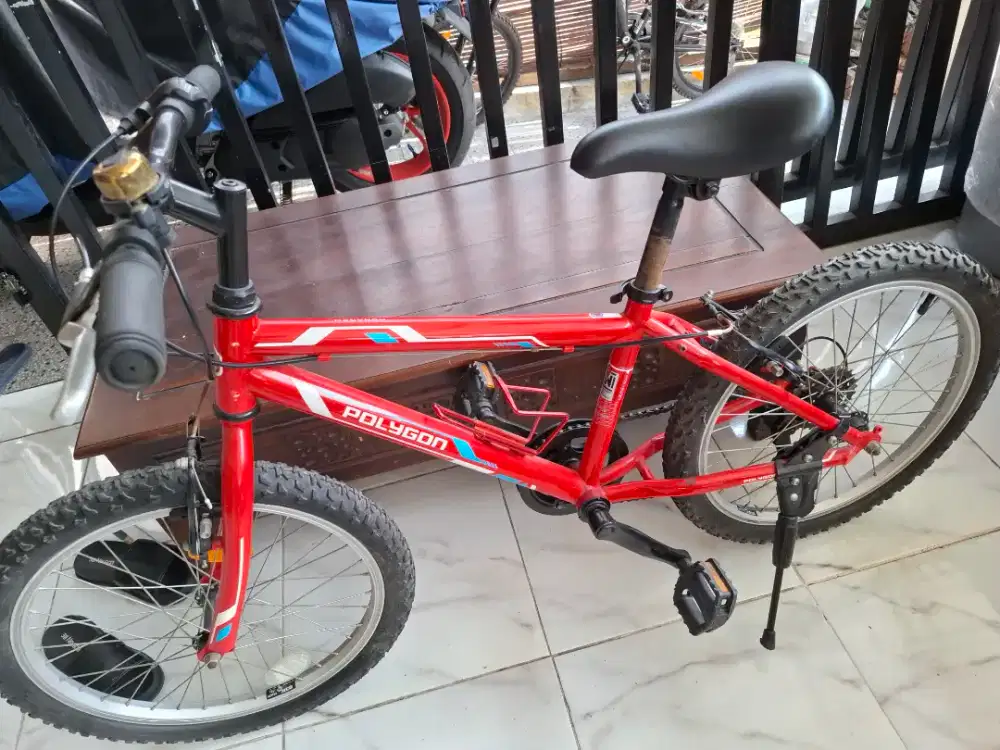 MTB Junior Polygon Monarch 20 inch