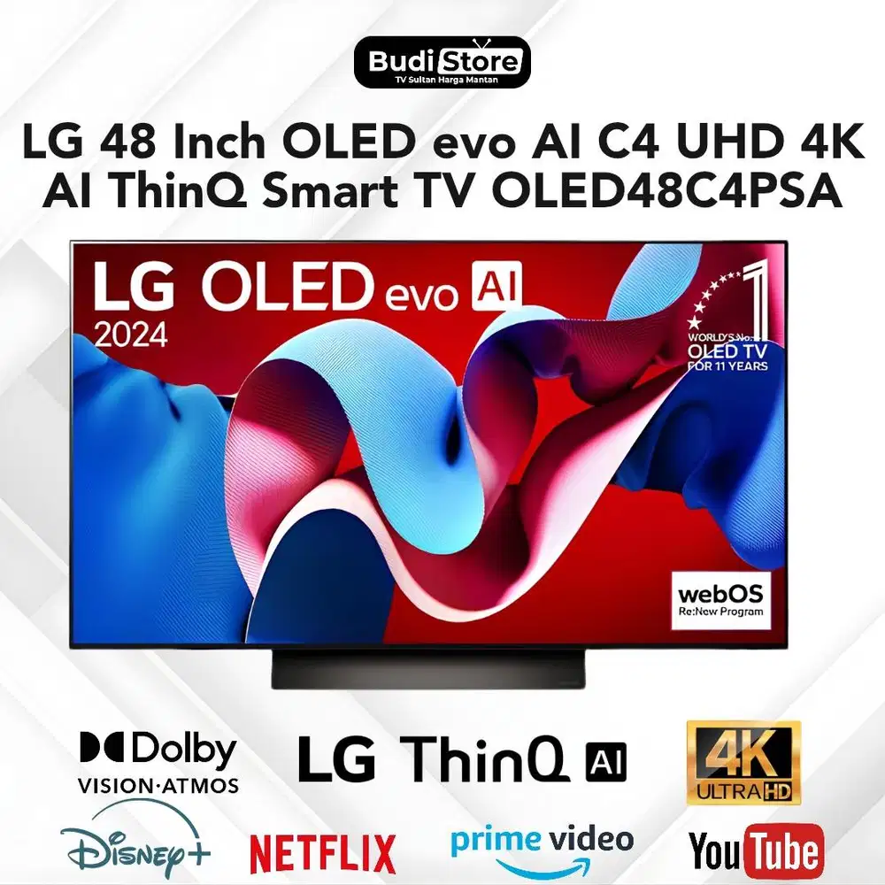 LG 48 Inch OLED evo AI C4 (OLED48C4PSA - Model 2024)