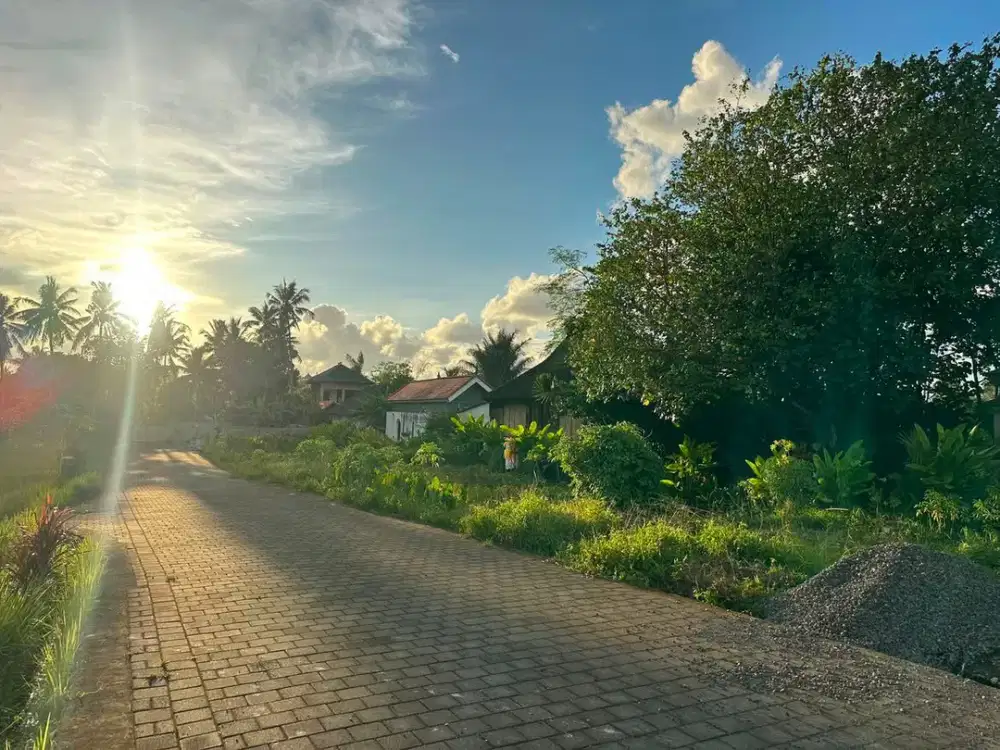 Dijual Tanah Hook Singakerta Gianyar Bali Lingkungan Villa