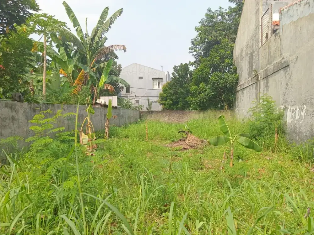 Dijual Kavling Siap Bangun Luas 169 M2 Duta Mekar Asri Cileungsi