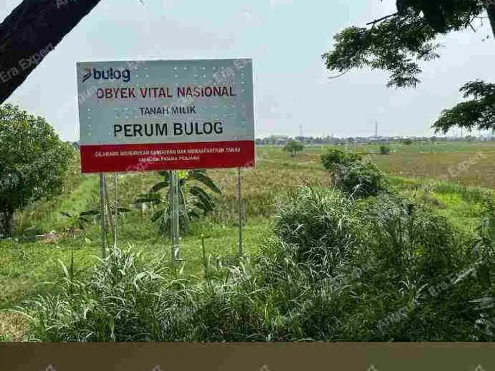 Cuma disini beli tanah Marunda Murah, include akses jalan dari pinggir jalan BKT ke tanah GRATIS