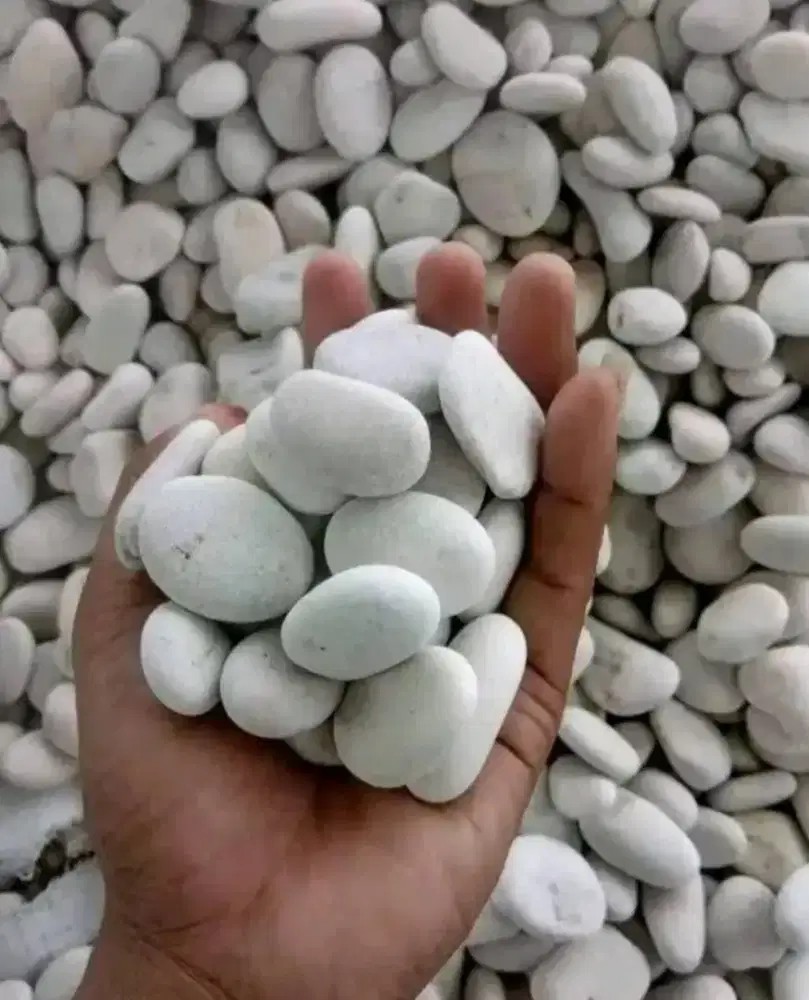 Jual batu koral bisa dianter Cod berat isi 10kg