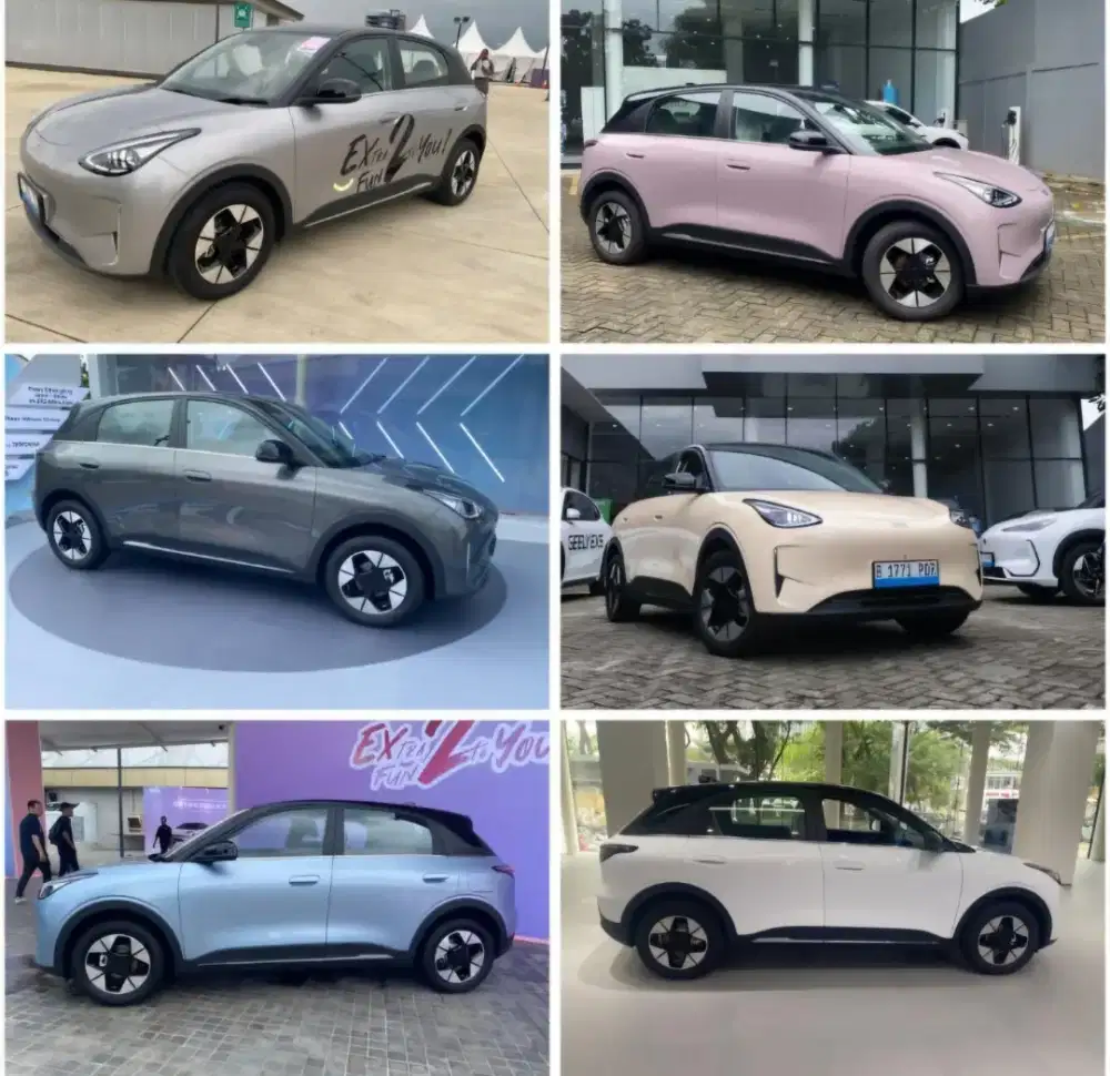 READY TO ORDER GEELY EX2 PRO & MAX
