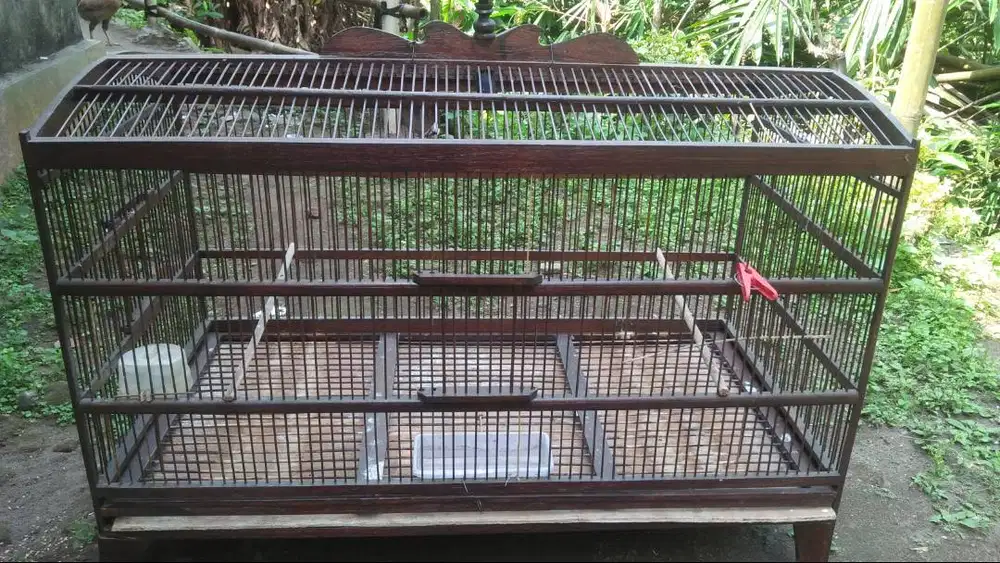 Polier kandang burung