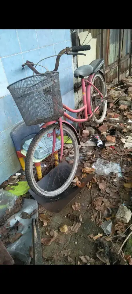 Sepeda mini 300 RB aja