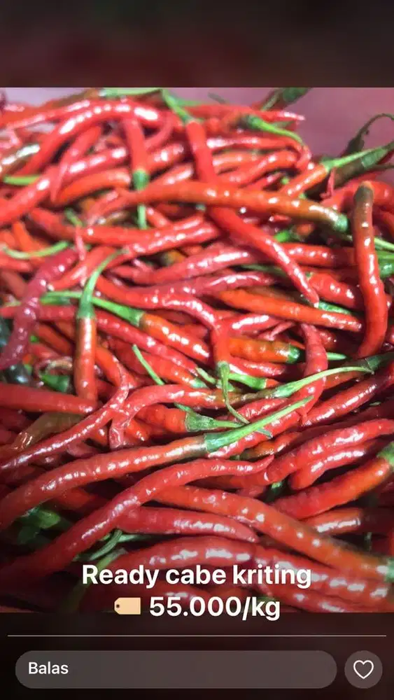 Dibutuhkan Tukang Masak Masakan Jawa