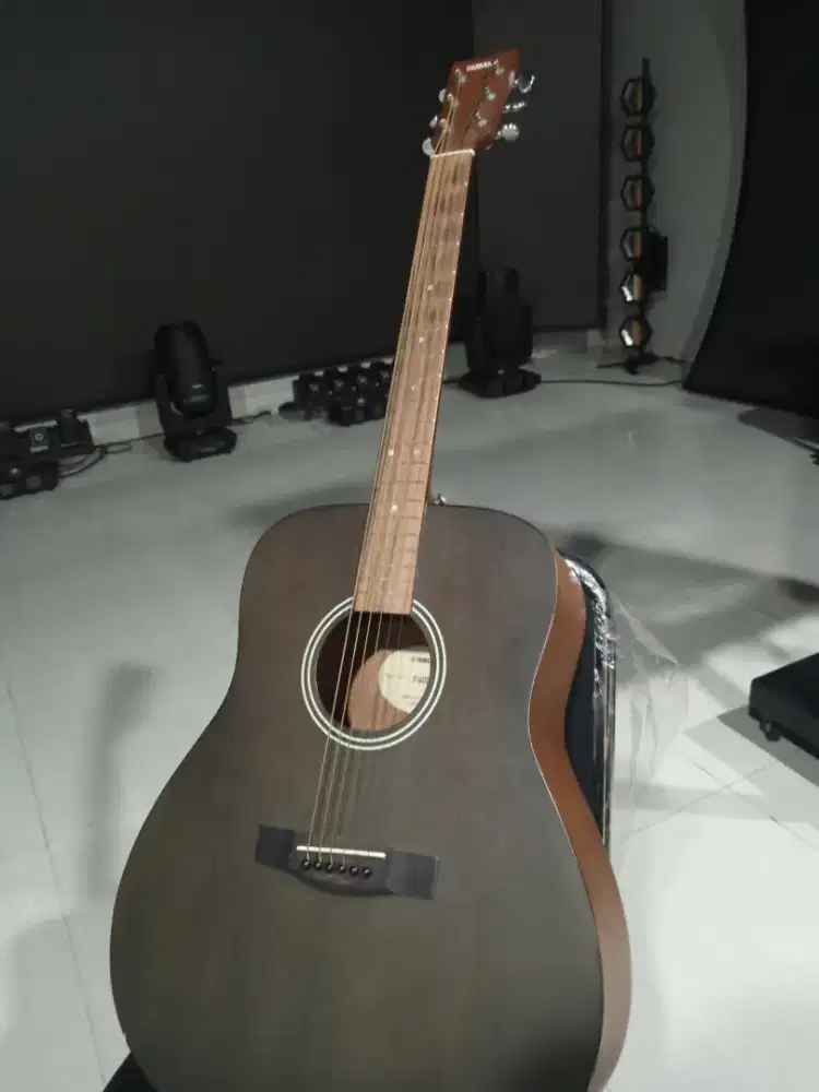 Yamaha F400 + Softcase