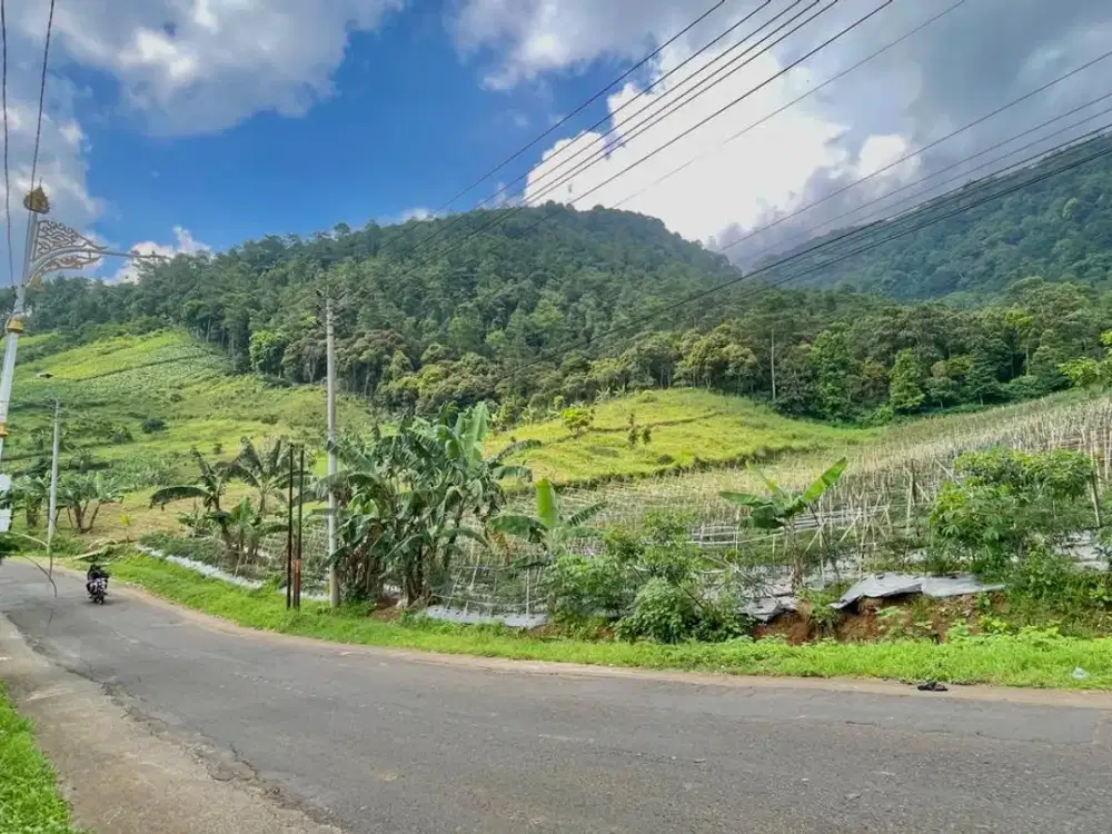 Dijual Tanah Udara Dingin Pemandangan Bagus Pinggir Jalan Raya