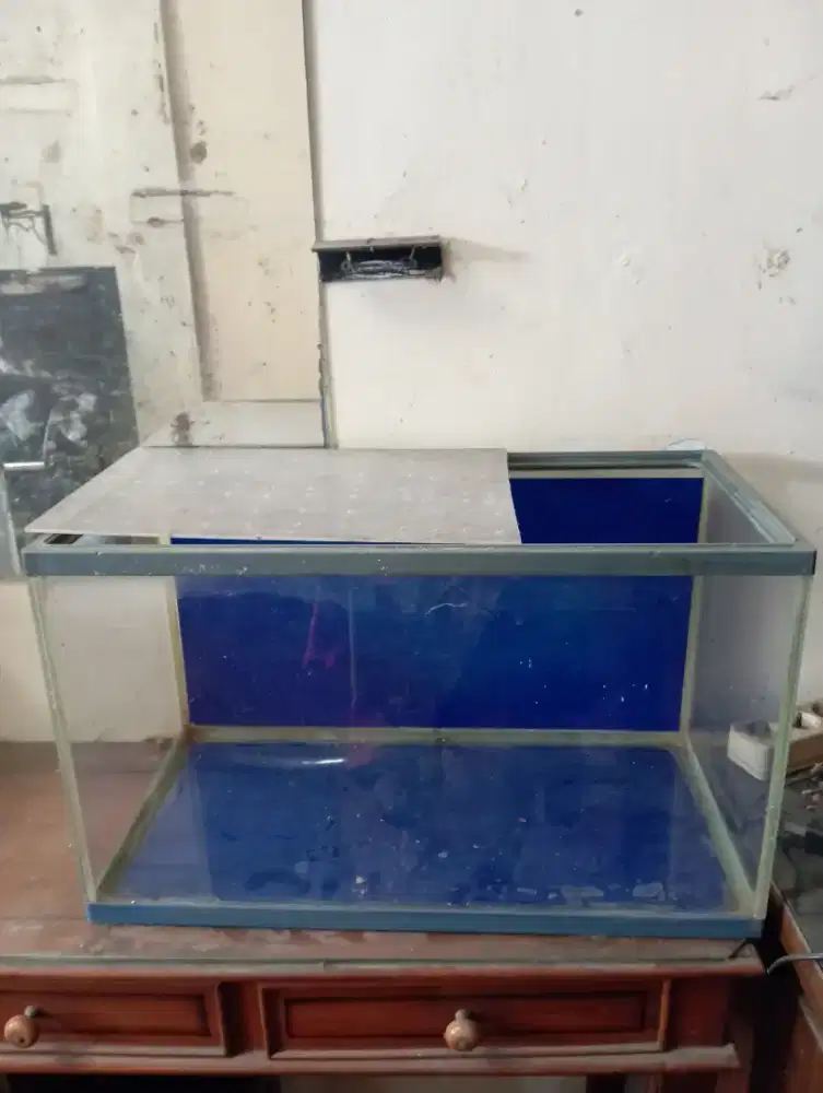 JUAL AQUARIUM IKAN