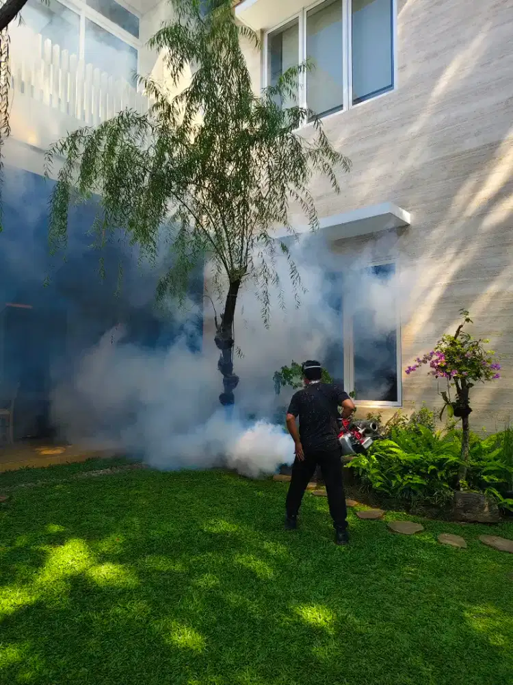 JASA FOGGING NYAMUK DBD