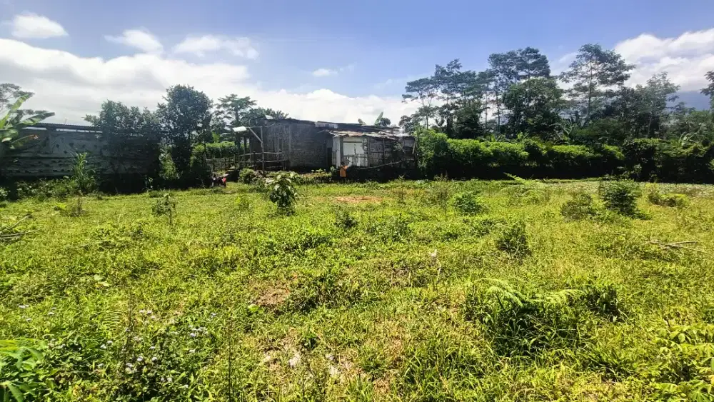 Tanah Kebun Subur di Wonosobo, Hanya 150 Juta Ideal untuk Sayur Segar