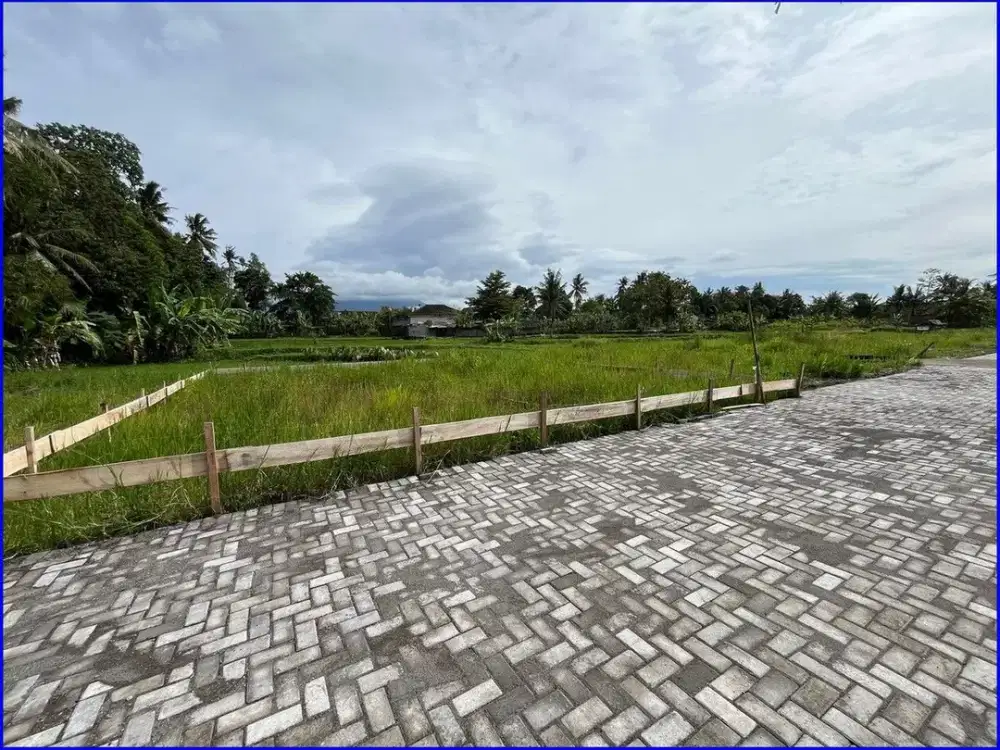 Tanah Jogja Dijual di Jl. Kembangan-Rejodani Dekat PonPes Pandanaran