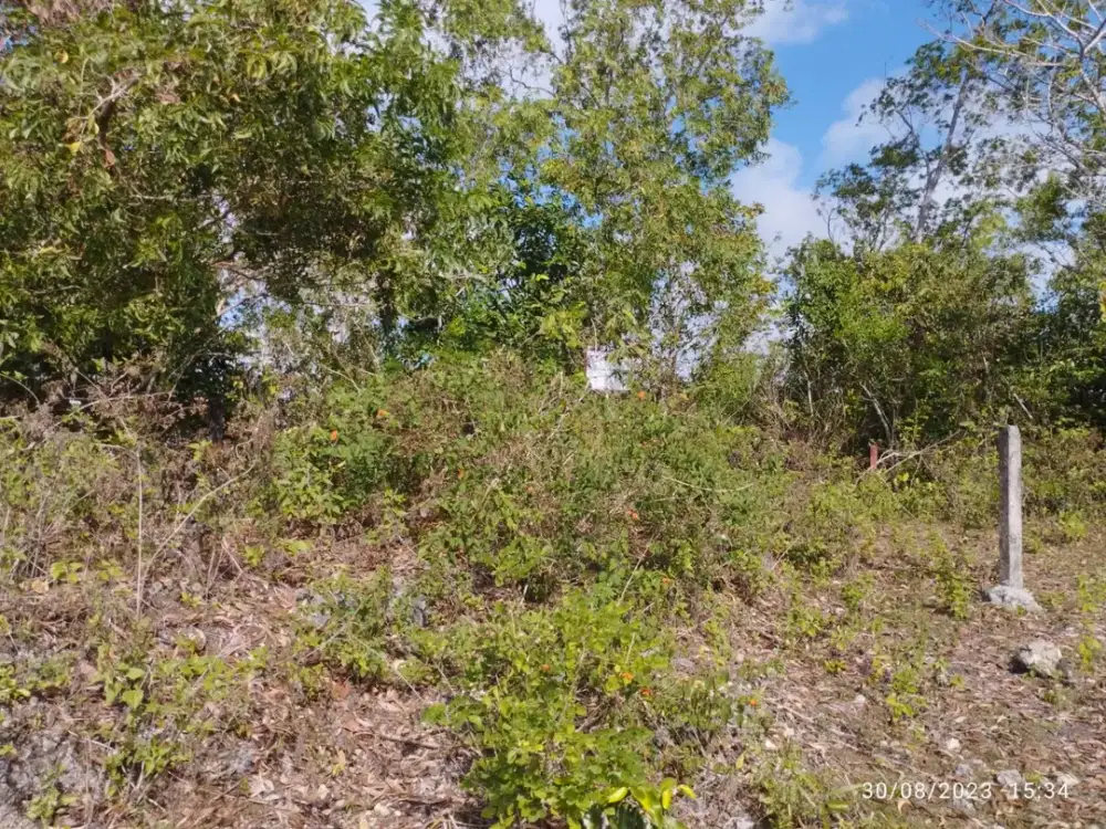 DIJUAL 1 BIDANG TANAH LUAS 14.000 M² DI UNGASAN, KUTA SELATAN, BADUNG