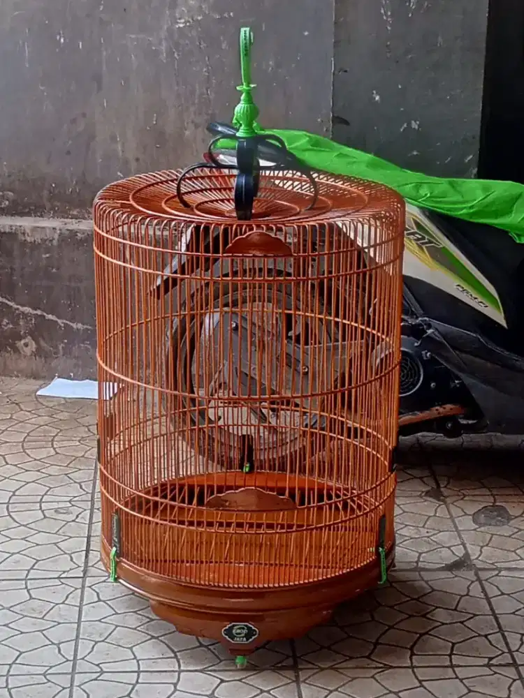 sangkar murai ebod jaya no2