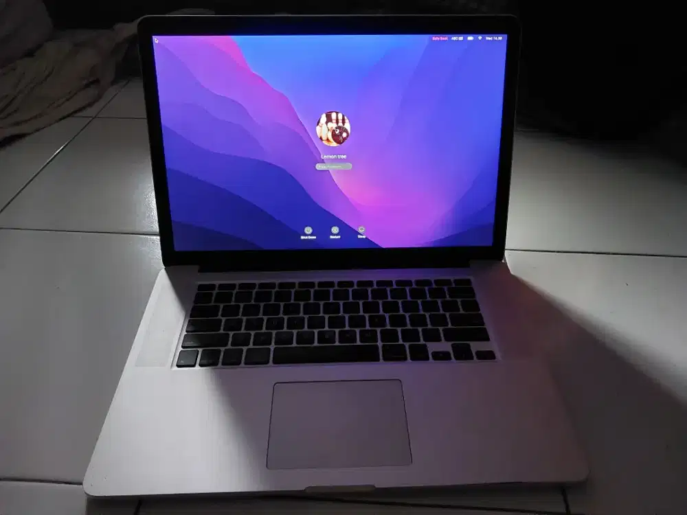 Macbook pro 2015 16gb 256gb ada minus