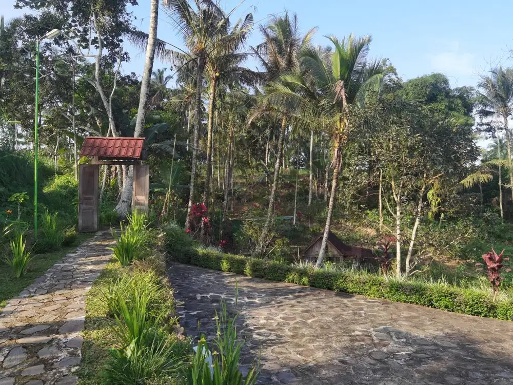 Ijen Lemon House Homestay dijual