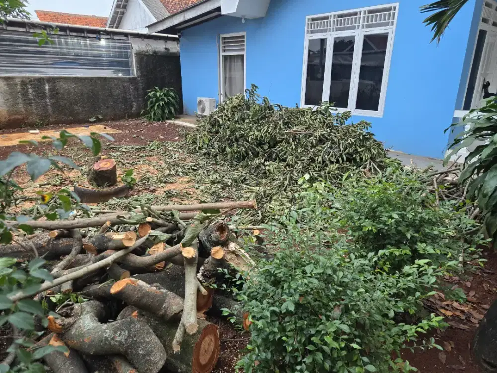 Jasa tebang pohon