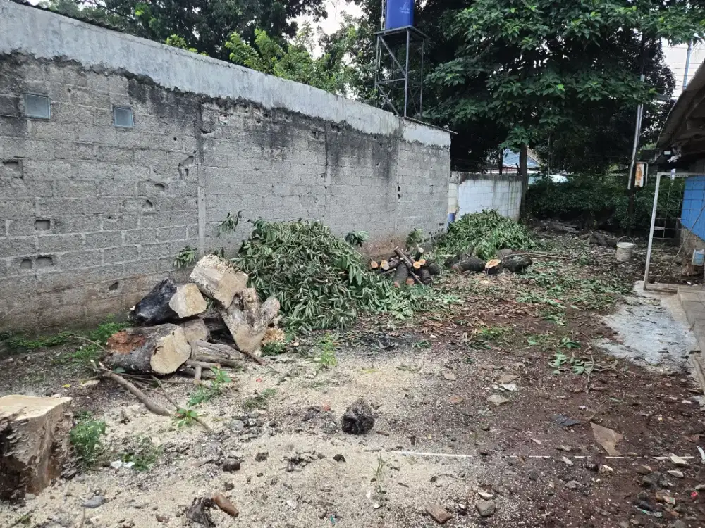 Jasa tebang pohon
