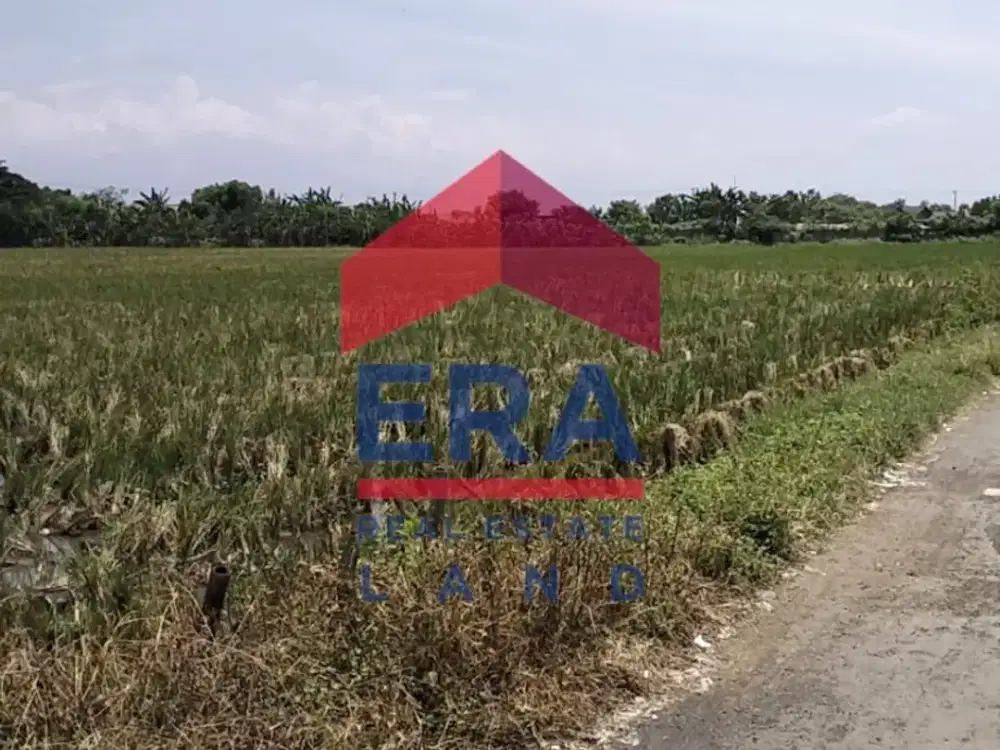 Dijual Tanah di Jalan Asembagus Probolinggo