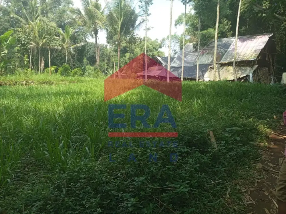 Dijual Tanah Murah di Jalan Argosuko Poncokusumo Tumpang Malang