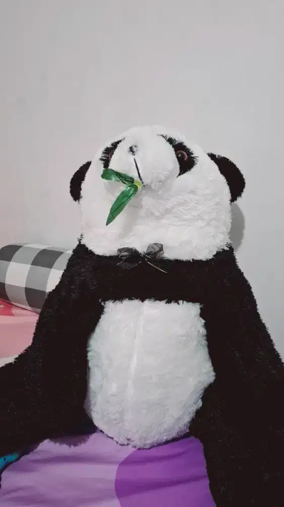 Boneka panda jumbo