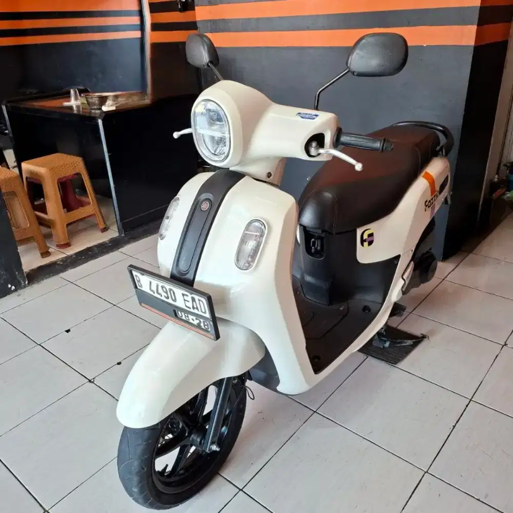 Fazzio taun 2023