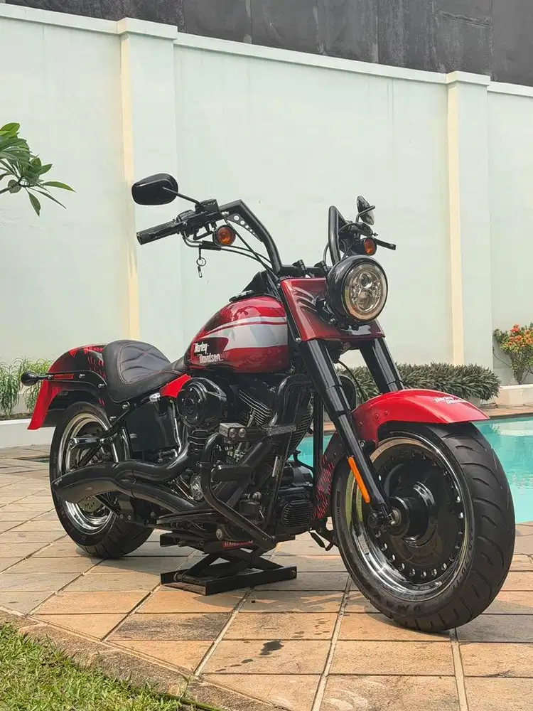 Fatboy 2009,sportster,roadking,streetglide