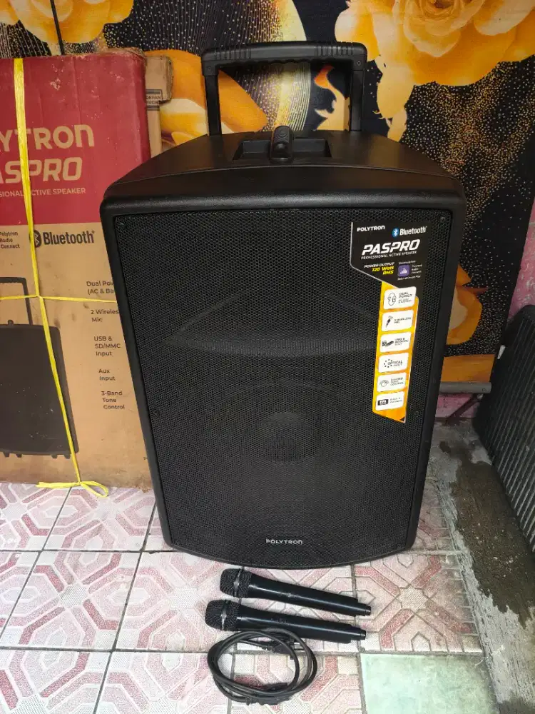 salon portable polytron paspro15f3