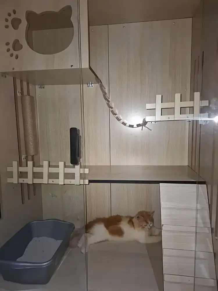 Bikin Anabul Makin Betah! Hadirkan Villa Mewah utk kesayangan anda!