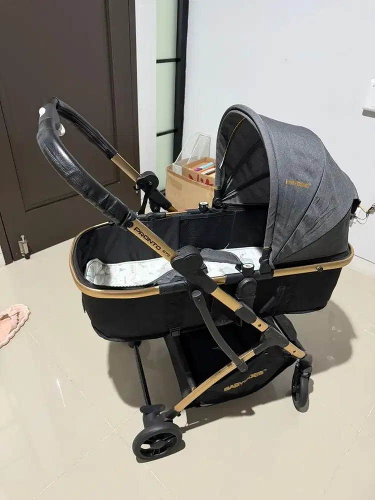 Babydoes Pronto RTS Travel System + Car Seat Like New