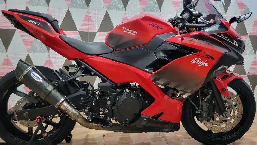 Kawasaki ninja 250 new fi