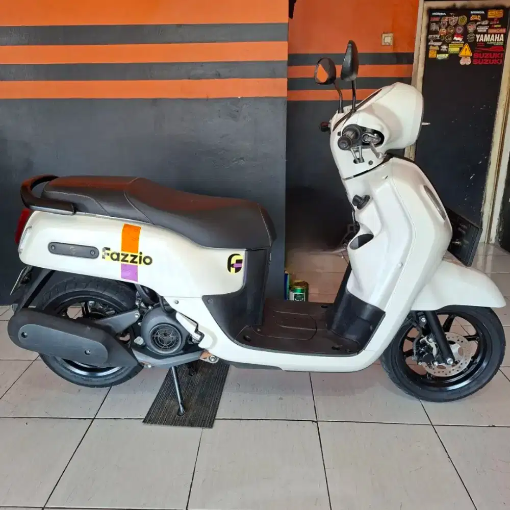 Fazzio taun 2023