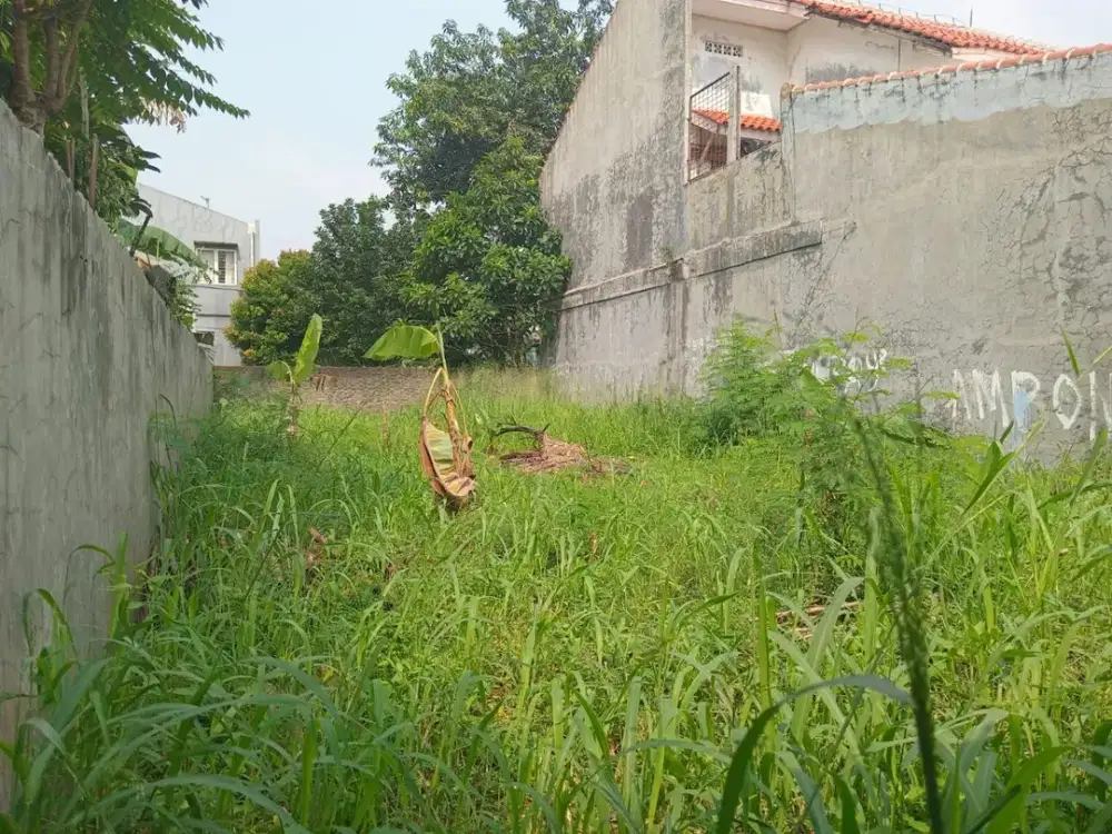 Dijual Kavling Siap Bangun Luas 169 M2 Duta Mekar Asri Cileungsi