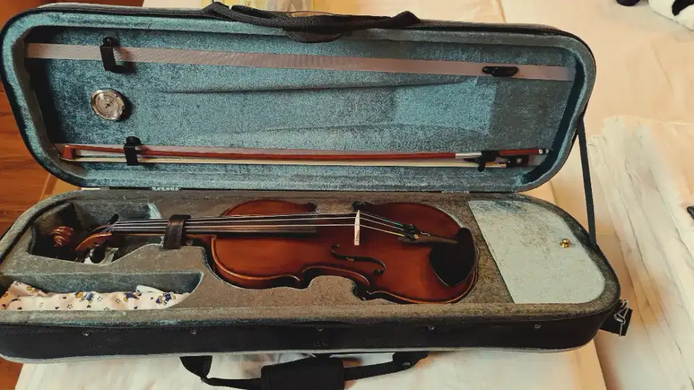 Violin Stentor Graduate 4/4