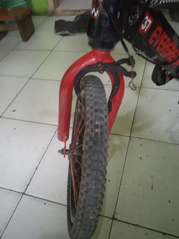 Dijual sepeda anak ukuran 16 Evergreen.