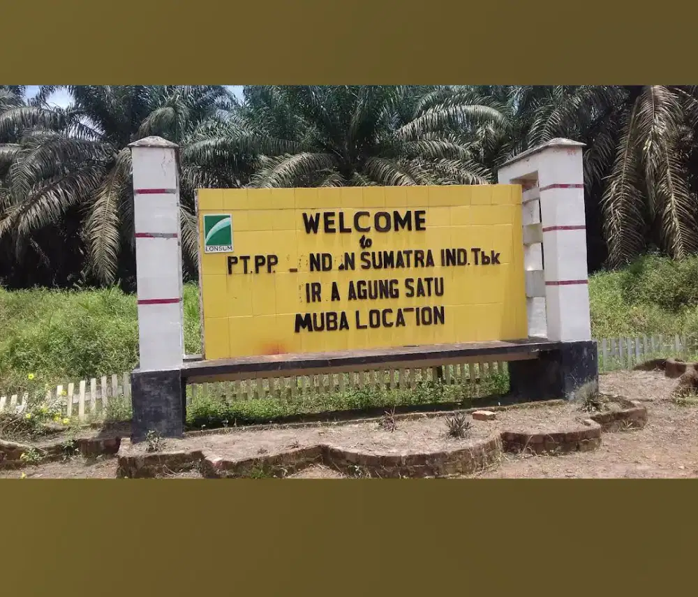 Lowongan tukang panen di kebun sawit palembang