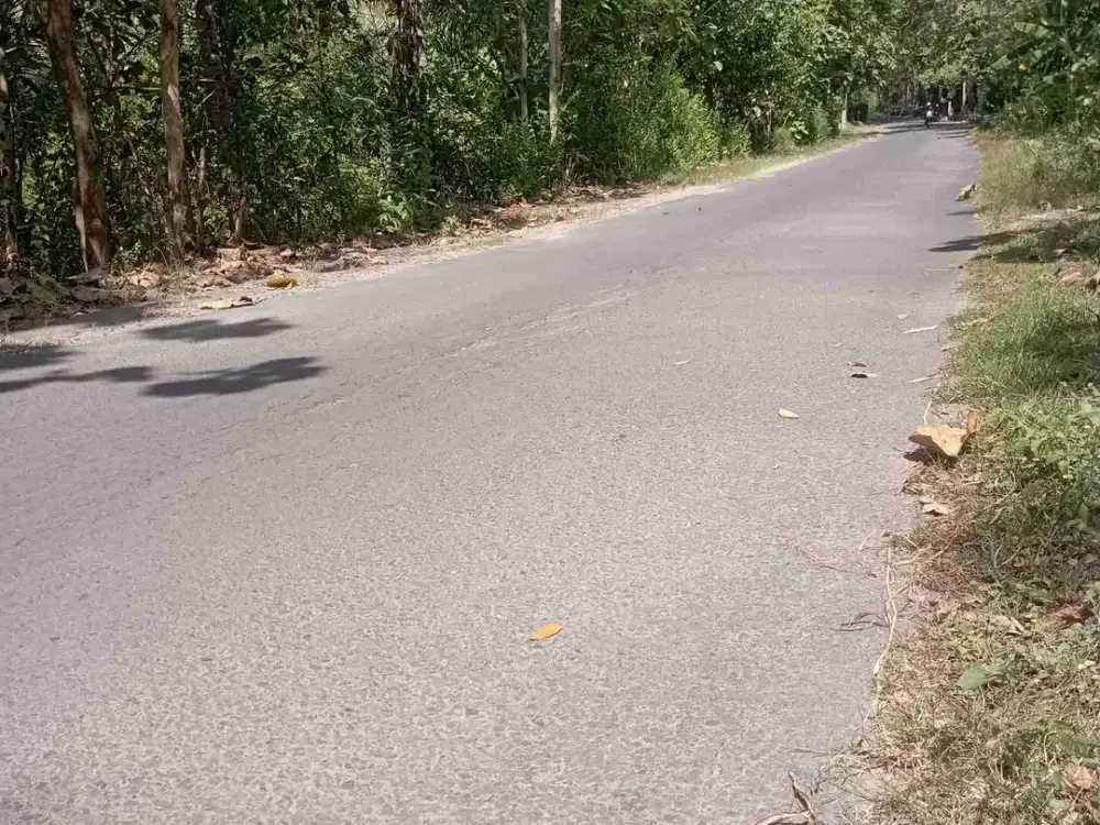 Tanah Dijual dekat Sekolah Rakyat di Lendah Kulon Progo