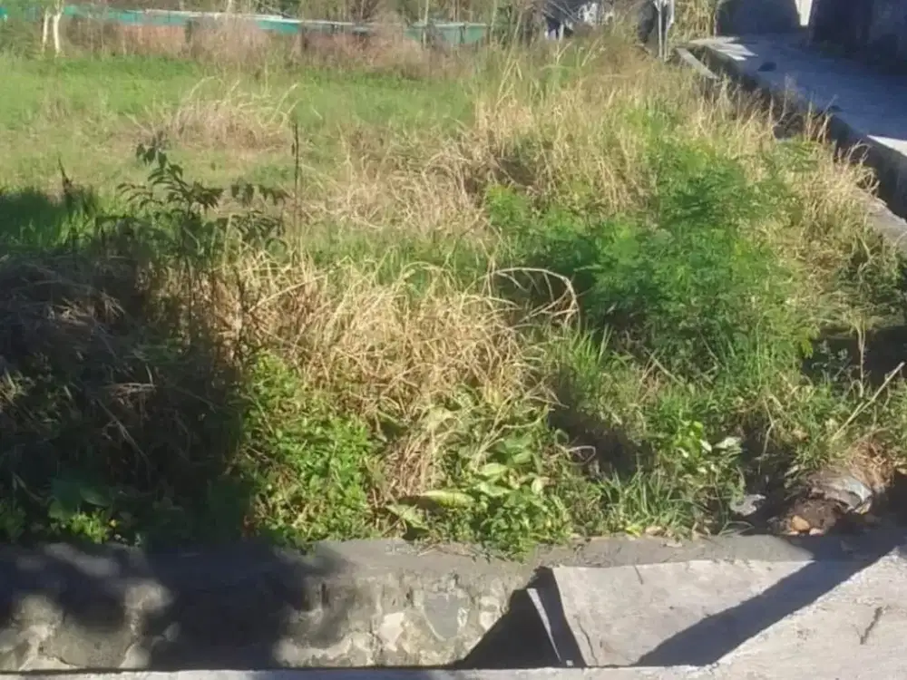 Dijual Tanah Denpasar Dekat Jalan Utama Termurah Siap Bangun