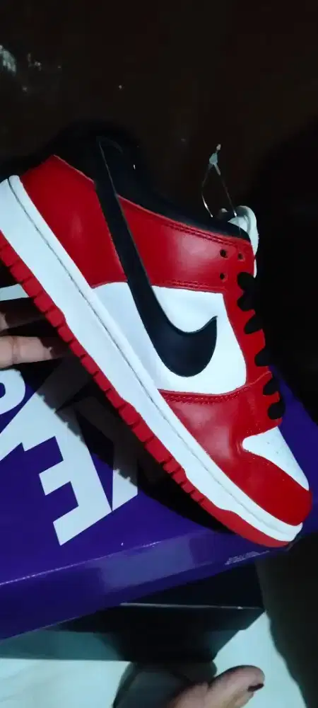 Nike SB Dunk Low Ori dan New