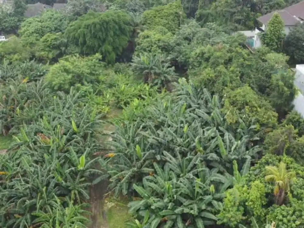 Dijual   Tanah di Kemang, Jakarta Selatan