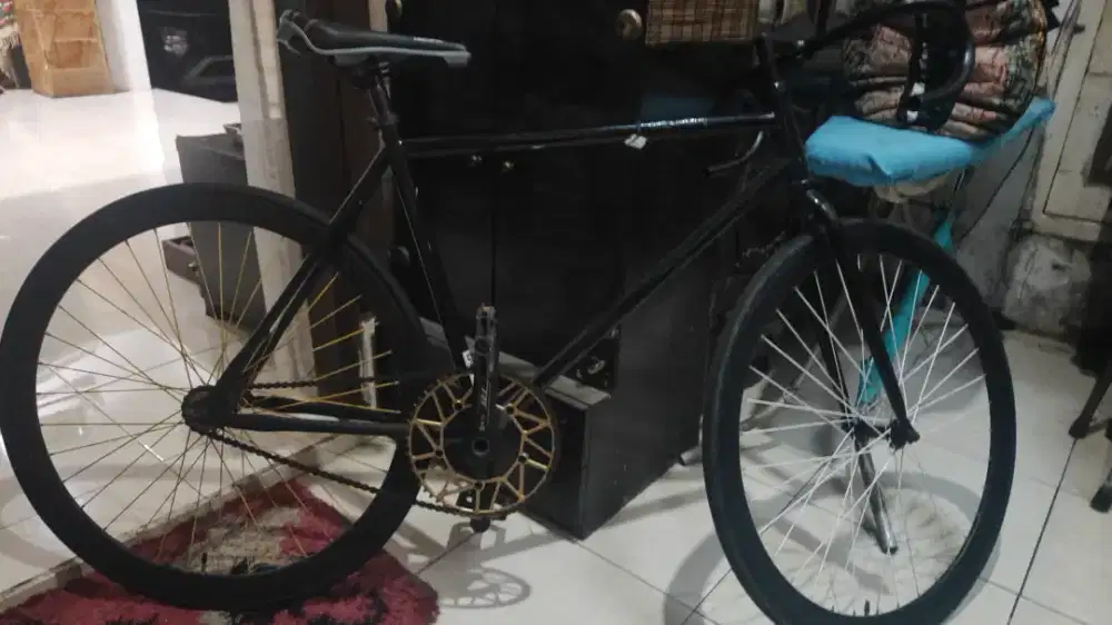 sepeda fixie exotic