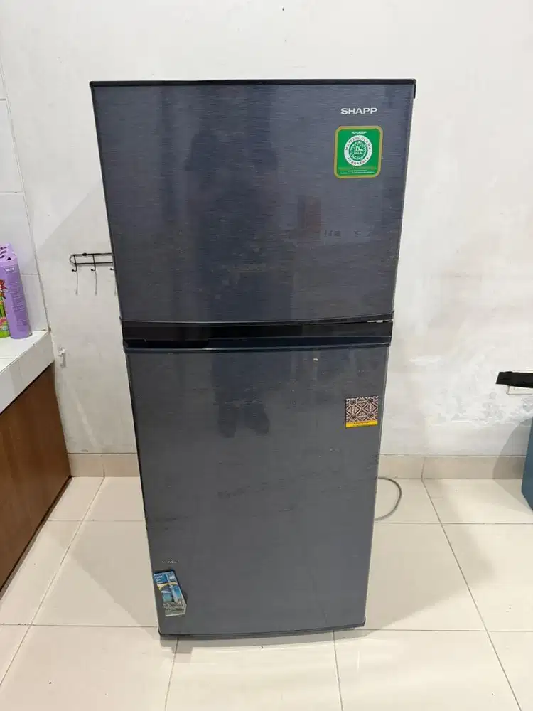 Kulkas sharp 2 pintu 172L