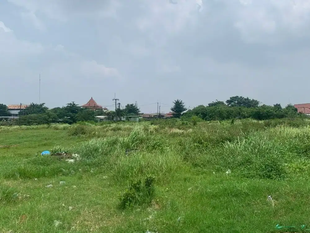Tanah Paling Murah Termurah Jauh Dibawah Harga Pasar Cirebon Jawa Barat