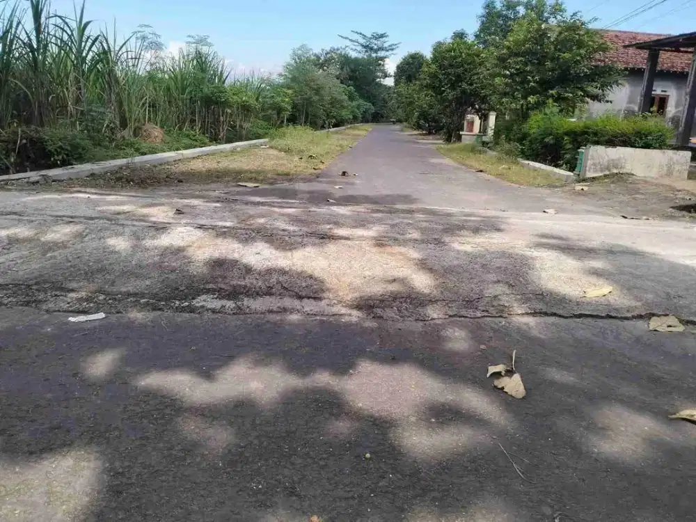 Tanah Sawah Murah Pilangrejo Madiun