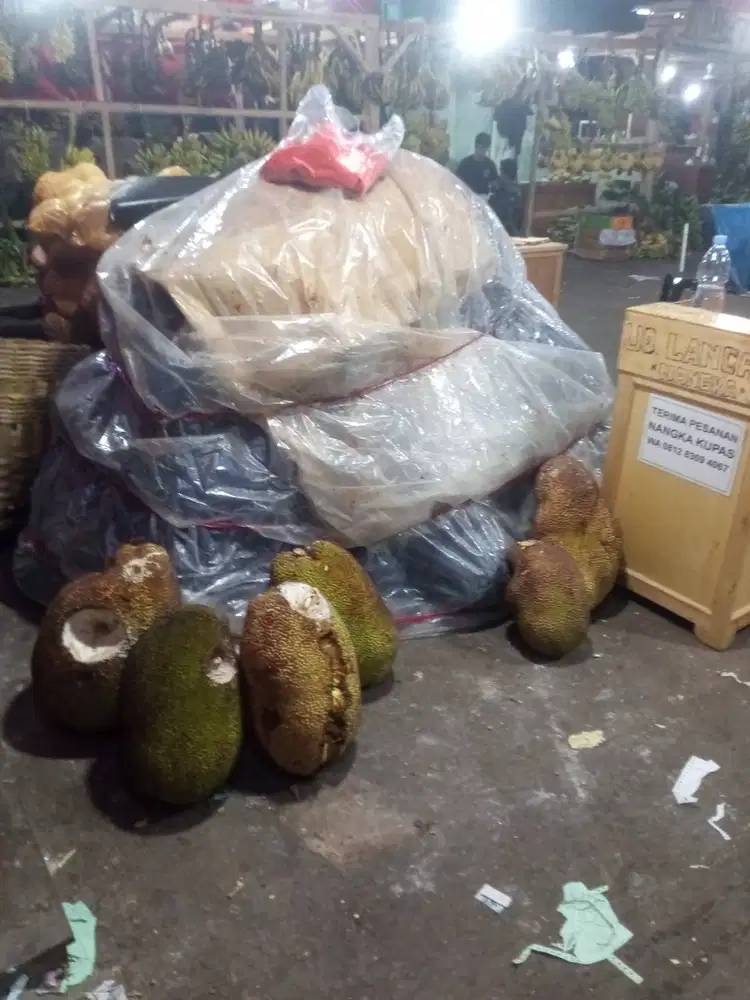Jual nangka jawa