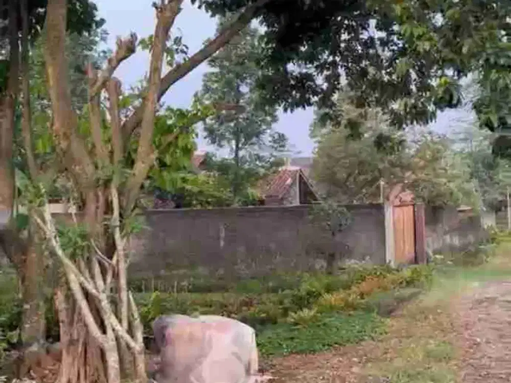 Dijual Tanah Terawat di dalam Komplek Paswalpres Bogor