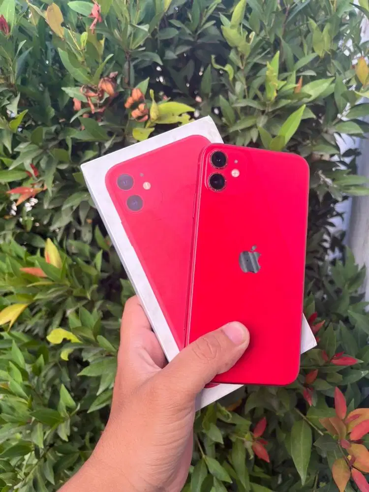 iPhone 11 64 gb