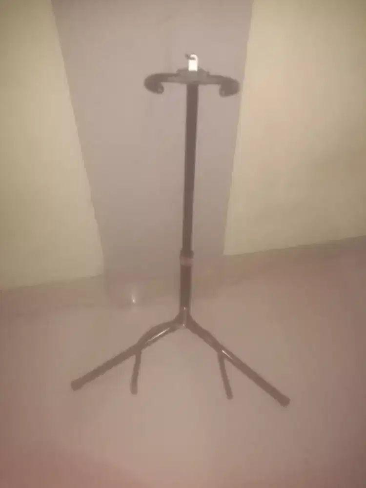 Stand up guitar