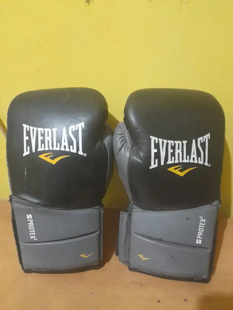 Sarung tinju everglass 10 oz murah
